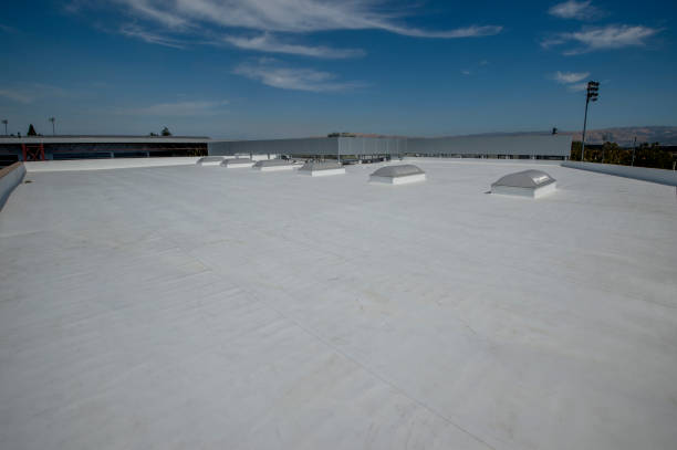 Best Rubber Roofing (EPDM, TPO)  in Nashotah, WI