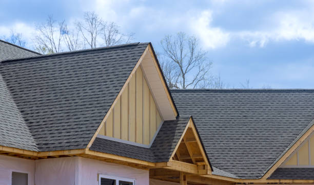 Best Asphalt Shingles Roofing  in Nashotah, WI