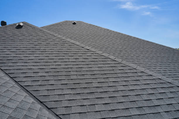 Best Roof Moss and Algae Removal  in Nashotah, WI